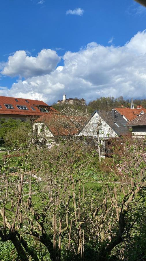 Arto Castle View Apartment Lublana Zewnętrze zdjęcie